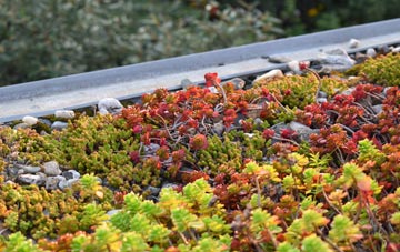 the cost of Duck End green roof installation