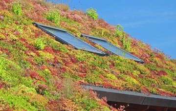 Duck End living roof systems
