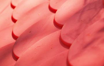 Duck End plastic roof costs
