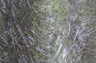 Duck End fibreglass roof work